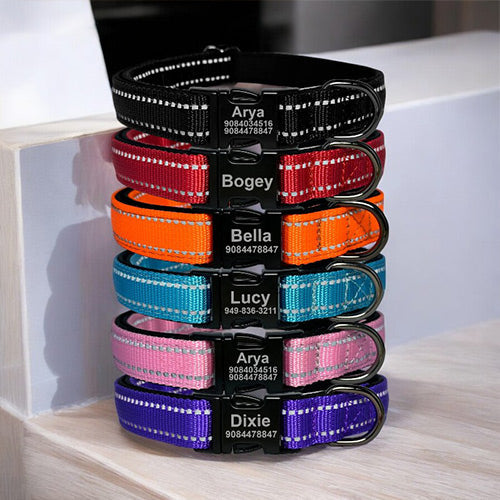 Collier de Chien Gravé