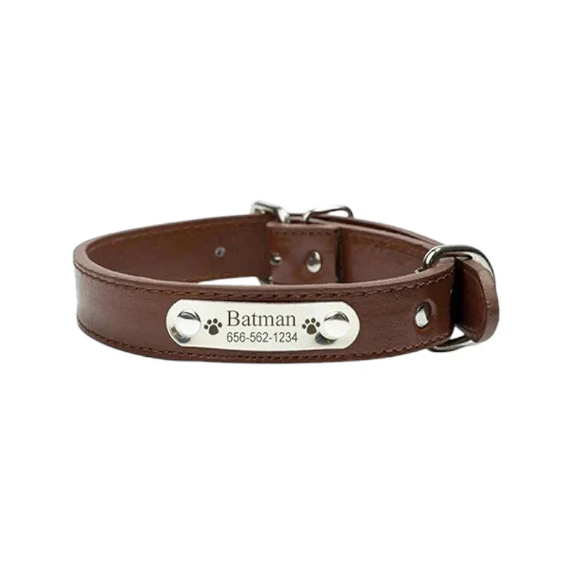 Collier de Chien Personnalisé