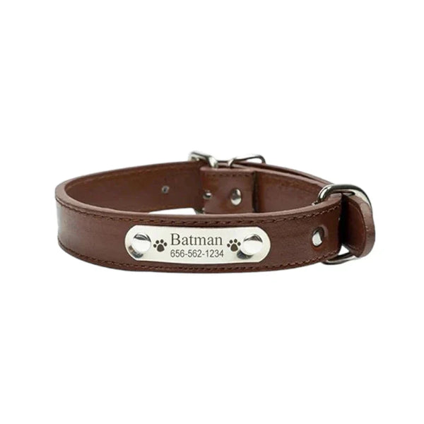 Collier de Chien Personnalisé