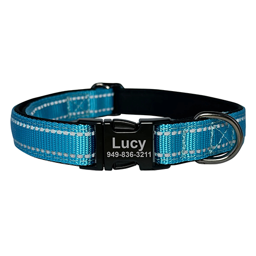 Collier de Chien Gravé