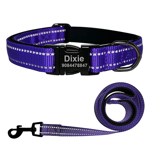 Collier de Chien Gravé