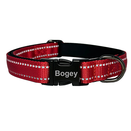 Collier de Chien Gravé