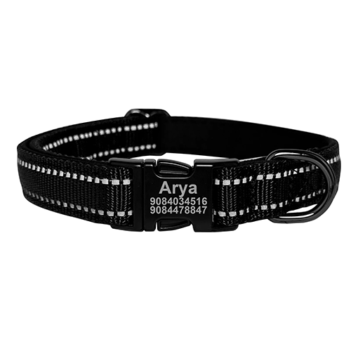 Collier de Chien Gravé