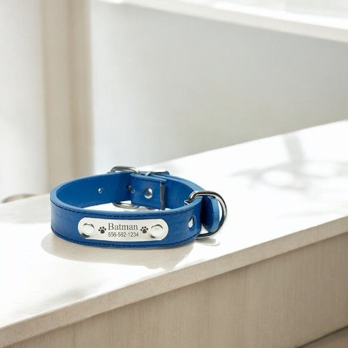 Collier de Chien Personnalisé