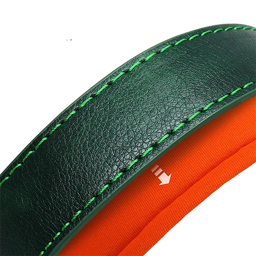 Collier en Cuir Personnalisé pour Chien