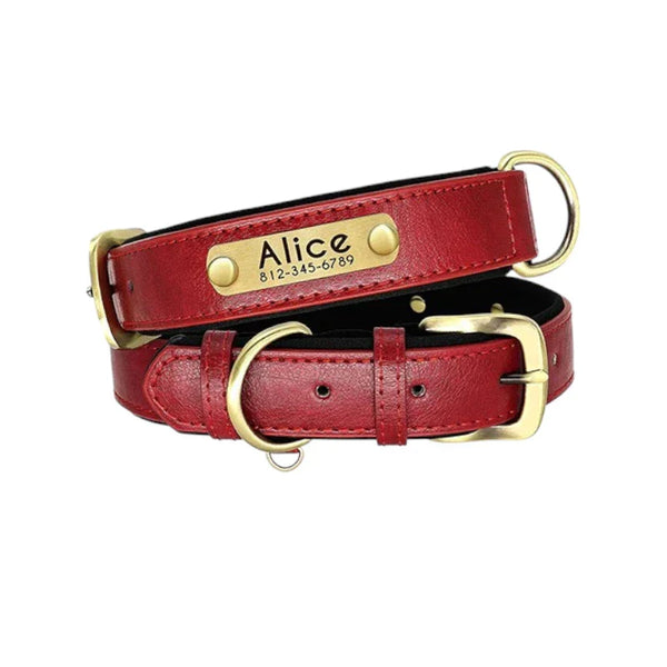Collier en Cuir Personnalisé pour Chien