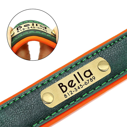 Collier en Cuir Personnalisé pour Chien