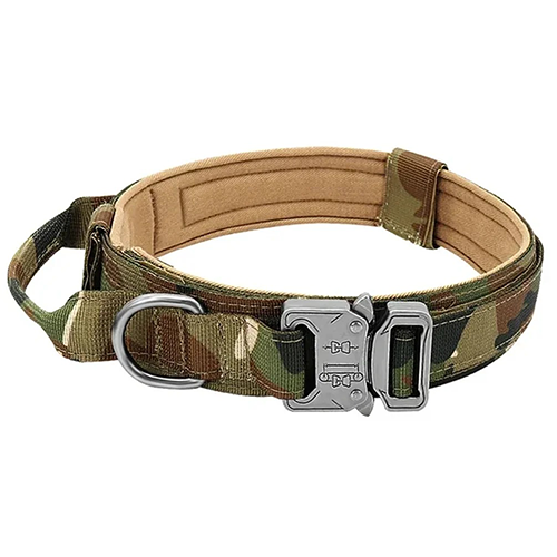 Collier pour Grand Chien