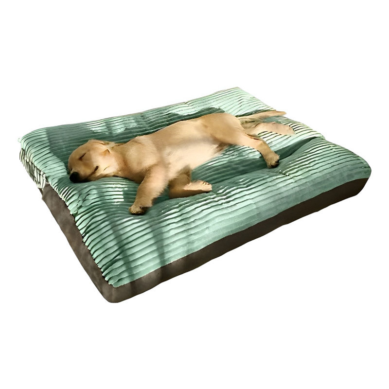 Coussin XXL pour Chien Amovible - Orthopédique