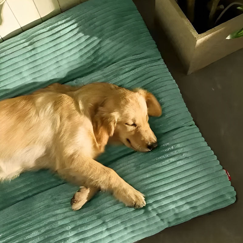 Coussin XXL pour Chien Amovible - Orthopédique