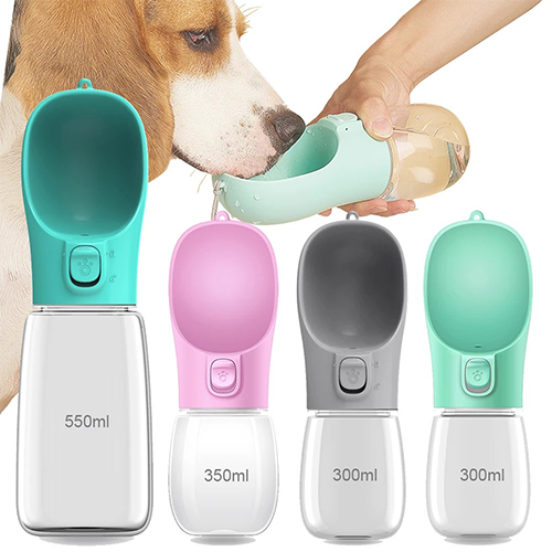 Bouteille d'eau portable pour chien