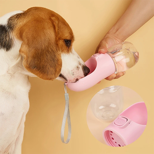 Bouteille d'eau portable pour chien