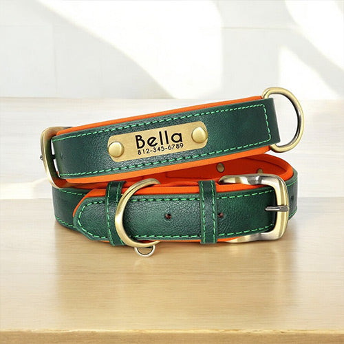 Collier en Cuir Personnalisé pour Chien