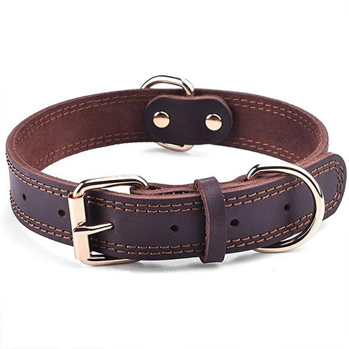 Collier en Cuir Véritable pour Chien