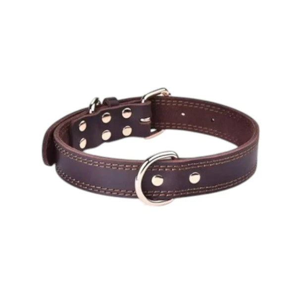 Collier en Cuir Véritable pour Chien