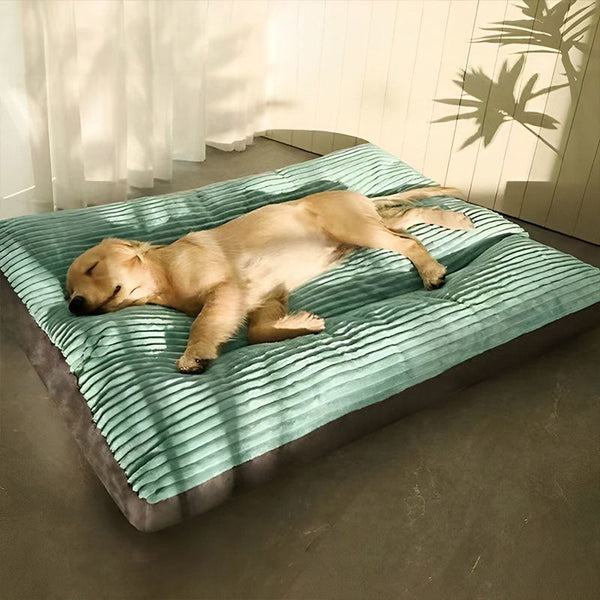 Coussin XXL pour Chien Amovible - Orthopédique