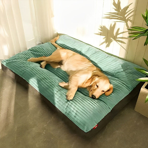 Coussin XXL pour Chien Amovible - Orthopédique