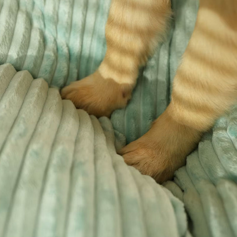 Coussin XXL pour Chien Amovible - Orthopédique